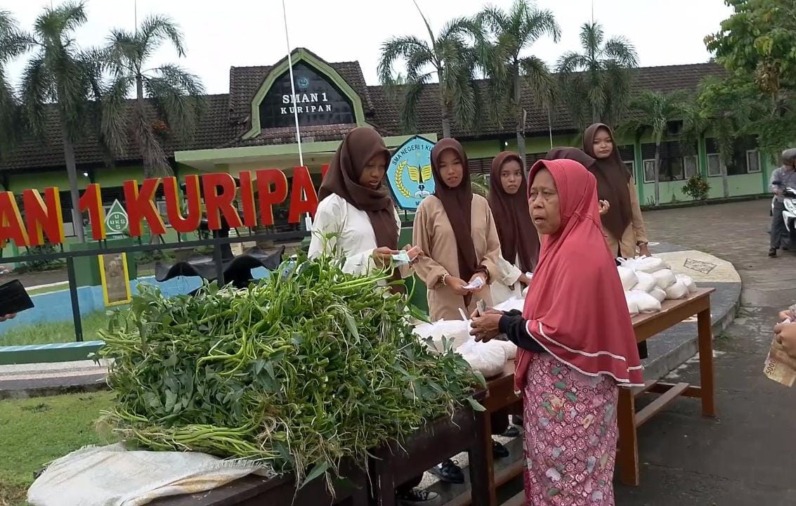 img 20241222 wa0008