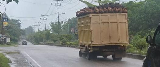 PT GSL, Inuman, toro