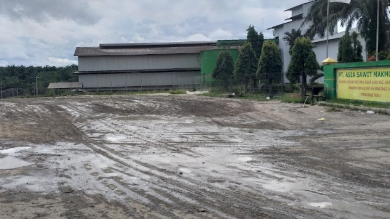 PT. Asia Sawit Makmur Jaya, PT ASMJ