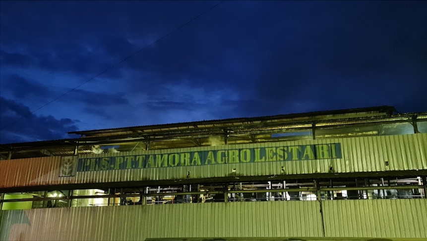 PT. Tamora Agro Lestari, PT TAL