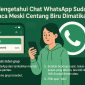 Cara Mengetahui Chat WhatsApp Sudah Dibaca Meski Centang Biru Dimatikan