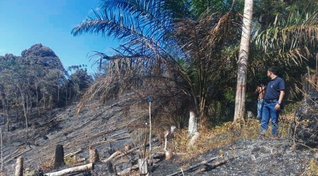 kawasan Hutan Lindung Bukit Betabuh, Desa Kasang, Kecamatan Kuantan Mudik kabupaten kuantan Singingi yang telah hangus