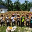 Polsek Rimba Melintang Panen Raya Jagung Serentak Dukung Ketahanan Pangan Nasional
( Photo : Ilyas )