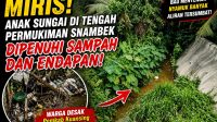 IMG 20260808 WA0003