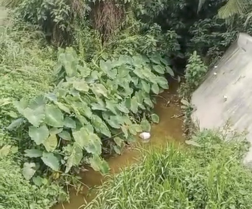 Miris! Anak Sungai di Tengah Permukiman Sinambek Dipenuhi Sampah dan Endapan, Warga Desak Pemkab Kuansing Turun Tangan 1 Screenshot 20260808 1111472